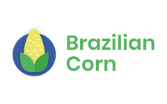 Logo Brazilian Corn