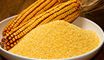 brazilian corn bran export