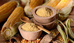 brazilian corn flour export